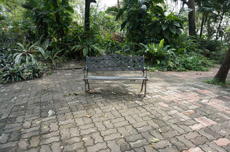A photo of a wood bench of relaxing corner next to a pond in the parkの写真素材