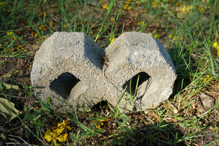 A photo of cement gray block paving on ground cover with grass in the park