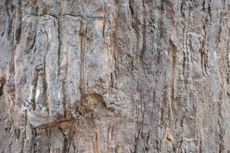 A photo of stucco texture of artificial wood made from concrete, close upの写真素材