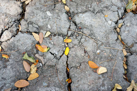 A photo of cracked ground and dry leaves texture and background in nature, close upの写真素材