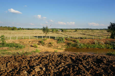A photo of landscape of paddy rice field with pond and soil at Chiang Rai province, northern of Thailandの写真素材