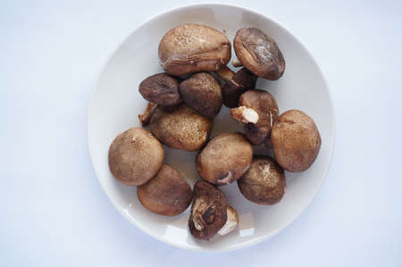 Fresh shiitake mushroom ( Dried Chinese mushroom ) on white plate isolated on white backgroundの写真素材