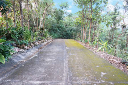 A photo of landscape of peaceful countryside road, covered with forests at northern of Thailand.の写真素材