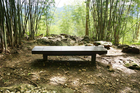 Photo of a wood bench of relaxing corner in the forest on the mountain at Hellfire pass, Kanchanaburi, Thailandの写真素材
