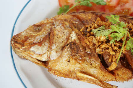 Asia - Asian eating food, Thai food, fried Nile tilapia river fish ( Oreochromis niloticus ) with garlic, coriander, and slice of tomatoes, close upの写真素材
