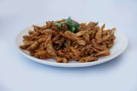 Asia - Asian eating food, Thai food, crispy fried small fish or Anchovy ( Stolephorus ) decorated with coriander on white plate isolated on white background, close upの写真素材