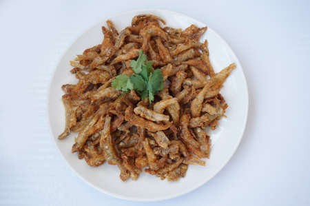 Asia - Asian eating food, Thai food, crispy fried small fish or Anchovy ( Stolephorus ) decorated with coriander on white plate isolated on white background, close upの写真素材