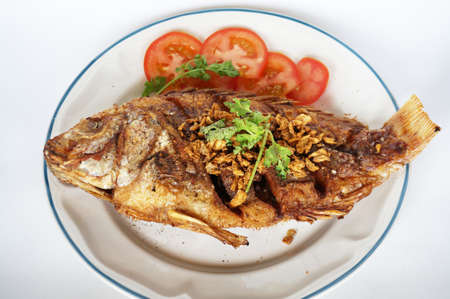 Asia - Asian eating food, Thai food, fried Nile tilapia river fish ( Oreochromis niloticus ) with garlic, coriander, and slice of tomatoes, close upの写真素材