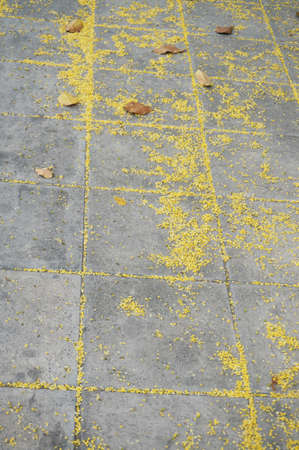A photo of texture of Gray Stone Pavement with yellow flower; Old Stone pavement background covered with yellow color of flowersの写真素材