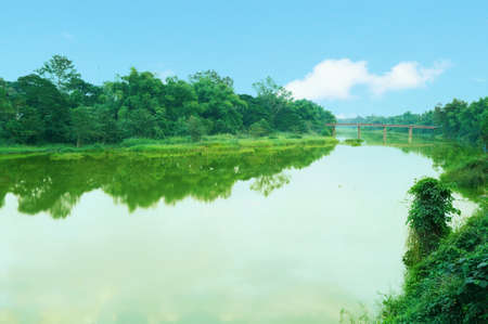 A photo of beautiful scenery, landscape of river flowing gently through forest in Thailandの写真素材