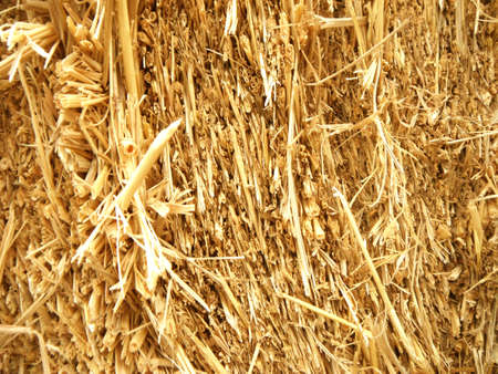 Dry straw, hay, texture and background, close upの写真素材