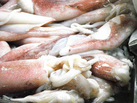 Fresh squid on ice for sale in the fresh market, close upの写真素材