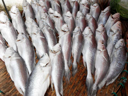 A photo of dried salted Fourfinger threadfin, Indian salmon (Eleutheronema tetradactylum) fishes, close upの写真素材