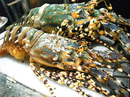 Closeup of fresh lobster on shelf of restaurant at night market.の写真素材