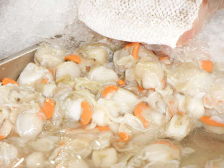 A photo of fresh Oyster on ice for sale in the fresh wet market, close upの写真素材