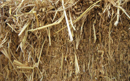 A photo of dry straw, hay, texture and background, close upの写真素材