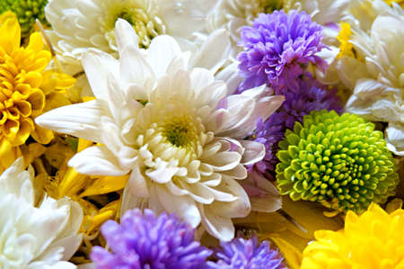 A photo of group of various flowers (Chrysanthemum, Marigold, etc), various color in the background, close upの写真素材