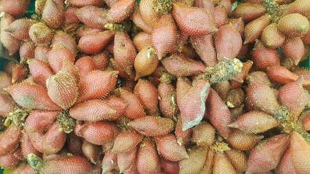 A photo of snake fruits or Salak fruits (Salacca wallichiana, Sa lacca zalacca) background, close upの写真素材