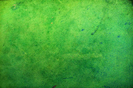 A photo of dirty old used green paper to make a background image, close up