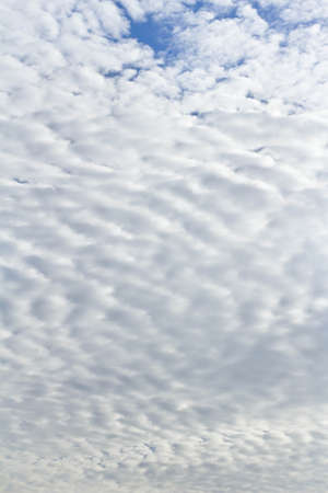skyの写真素材