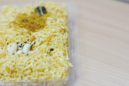 Thai foodの写真素材