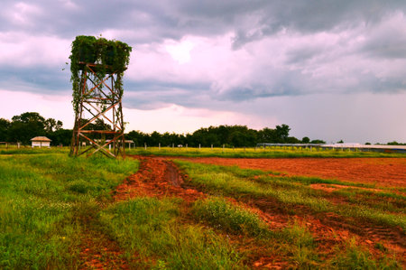 Farm in the rainy season Harvest has been completed の写真素材