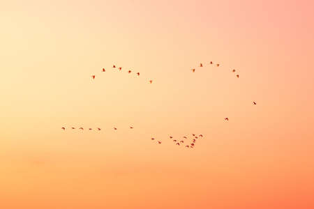 Smiling in the skyの素材