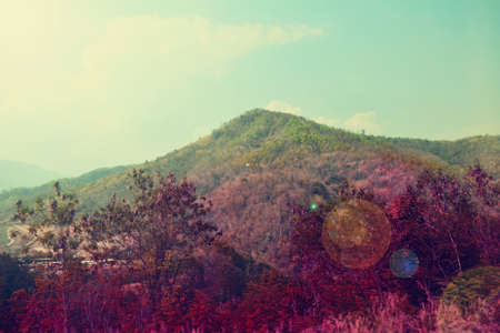 landscape mountain at the blue sky の写真素材