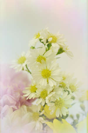 Bouquet of Flowers in a Glass on Pastel backgroundの写真素材