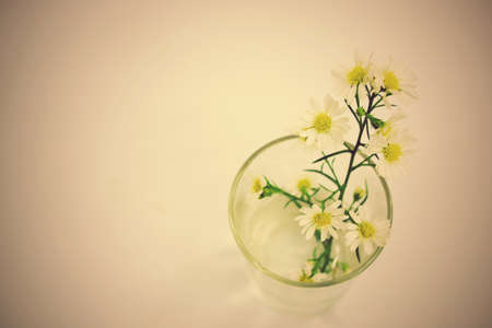 Bouquet of Flowers in a Glass on Vintage backgroundの写真素材