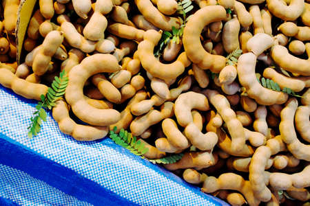 Tamarind was put on the marketの写真素材