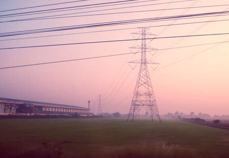 electricity post on  rice fields in the sunsetの写真素材