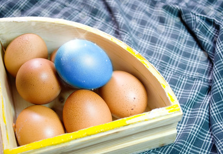 Colorful Hen eggs in the Easter day.