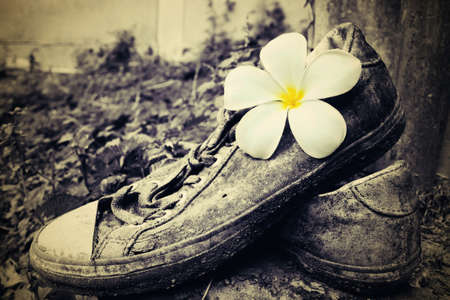 Pair of old sneakers in vintage styleの写真素材