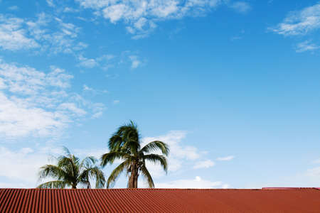 The old house and coconut with blue sky の写真素材