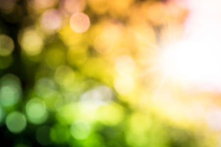 blur of nature with light for nature backgroundの写真素材