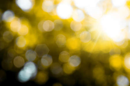 blur of nature with light for nature backgroundの写真素材