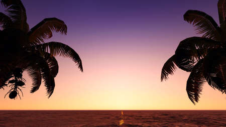 Silhouette of coconuts in the sea with sunset skyの写真素材