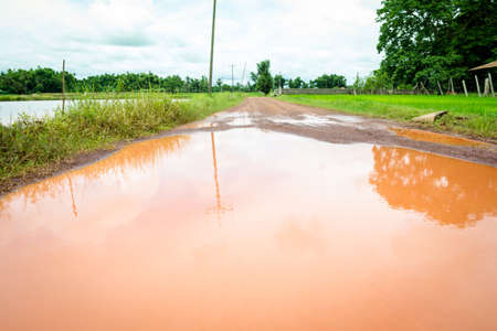 landscape of river in rice meadow with blue skyの写真素材
