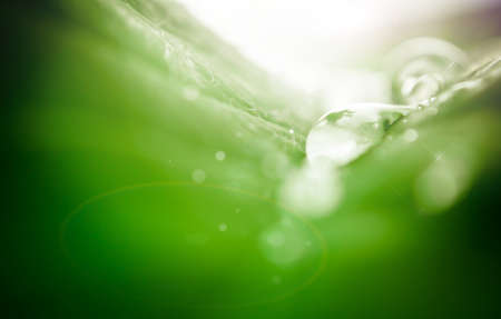 blur and soft focus of water drop on leaf with green color backgroundの写真素材