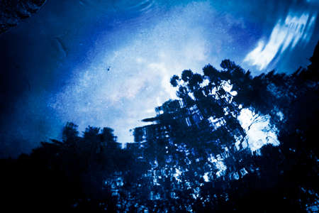 shadow tree on water reflection for sky dream backgroundの写真素材