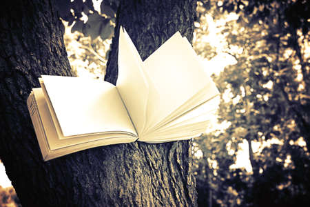 diary and notebook on tree with vintage color for learning concept の写真素材