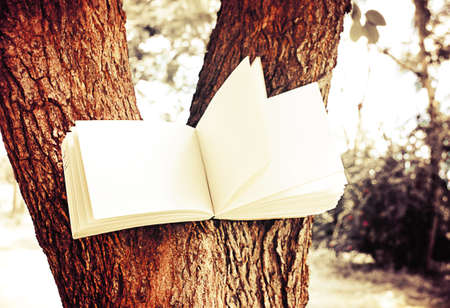 diary and notebook on tree with vintage color for learning conceptの写真素材