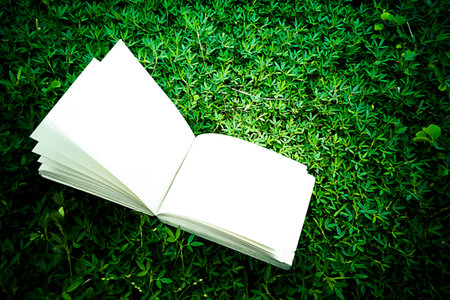 diary and notebook on the grass for background