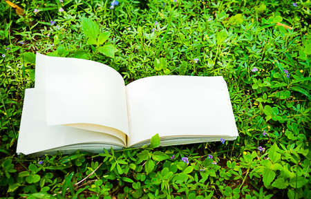 diary and notebook on the grass for backgroundの写真素材