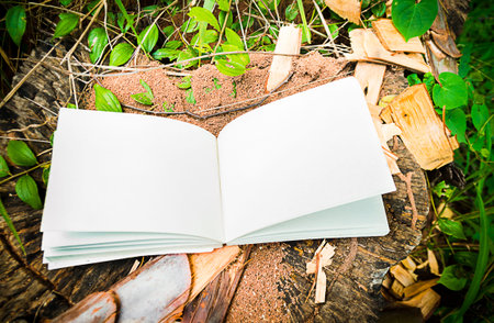 diary and notebook on the grass for background