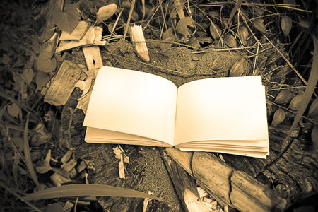 diary and notebook on grass with vintage color