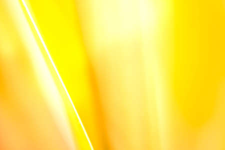 blur and soft focus of Yellow leaf with vintage colorの写真素材