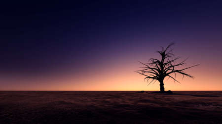 silhouette tree in the island with sunset beachの写真素材