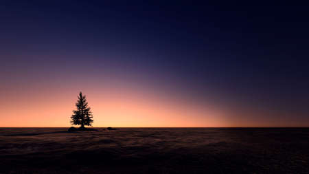 silhouette christmas tree in the island with sunset beachの写真素材